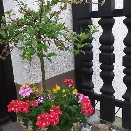 شقة Am Steinbachtal