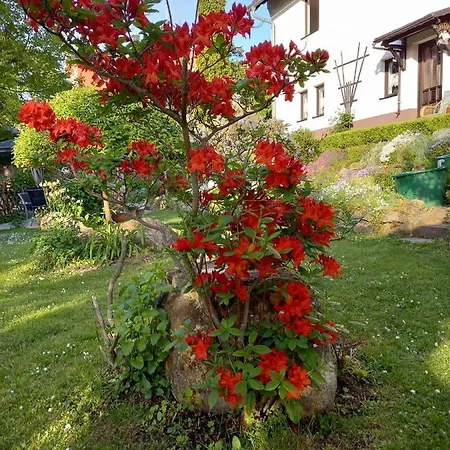 شقة Am Steinbachtal ثال