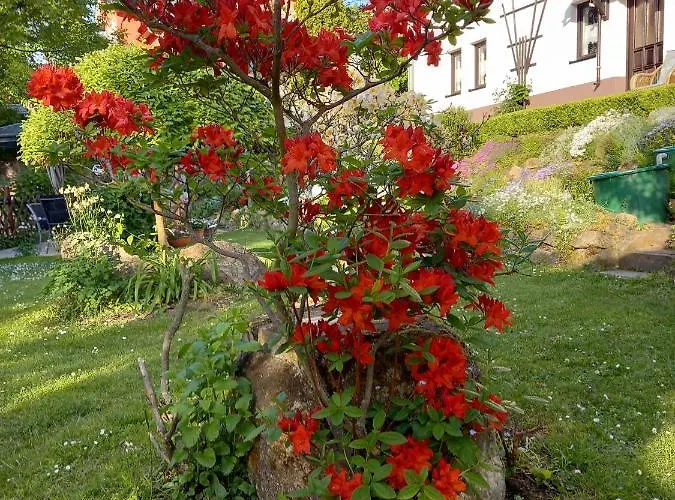 Apartamento Am Steinbachtal Thale